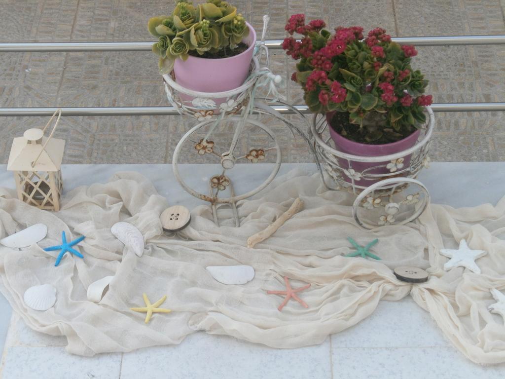 Antigoni Agia Galini